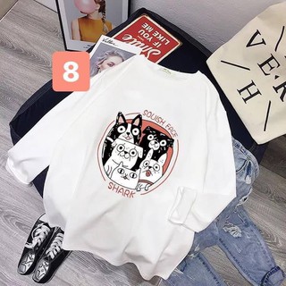 Áo thun Cotton 100%