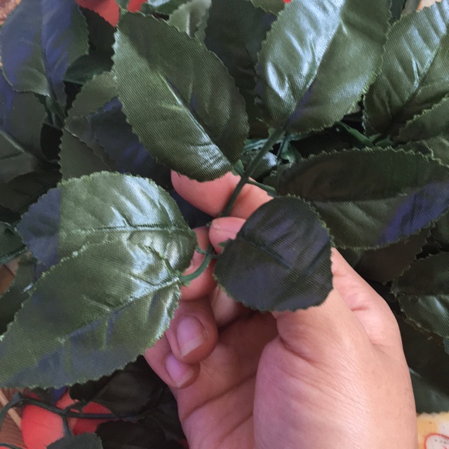 100g lá hoa hồng hồng làm hoa