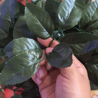 100g lá hoa hồng hồng làm hoa