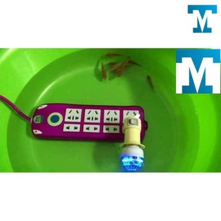 Ổ CẮM ĐIỆN CHỐNG GIẬT TÍM
