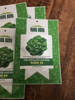 Hạt giống Xà Lách Búp