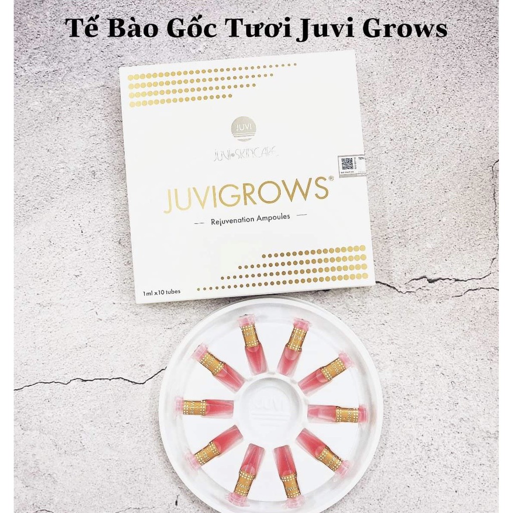 Tế bào gốc Juvi ( Singapore) hộp