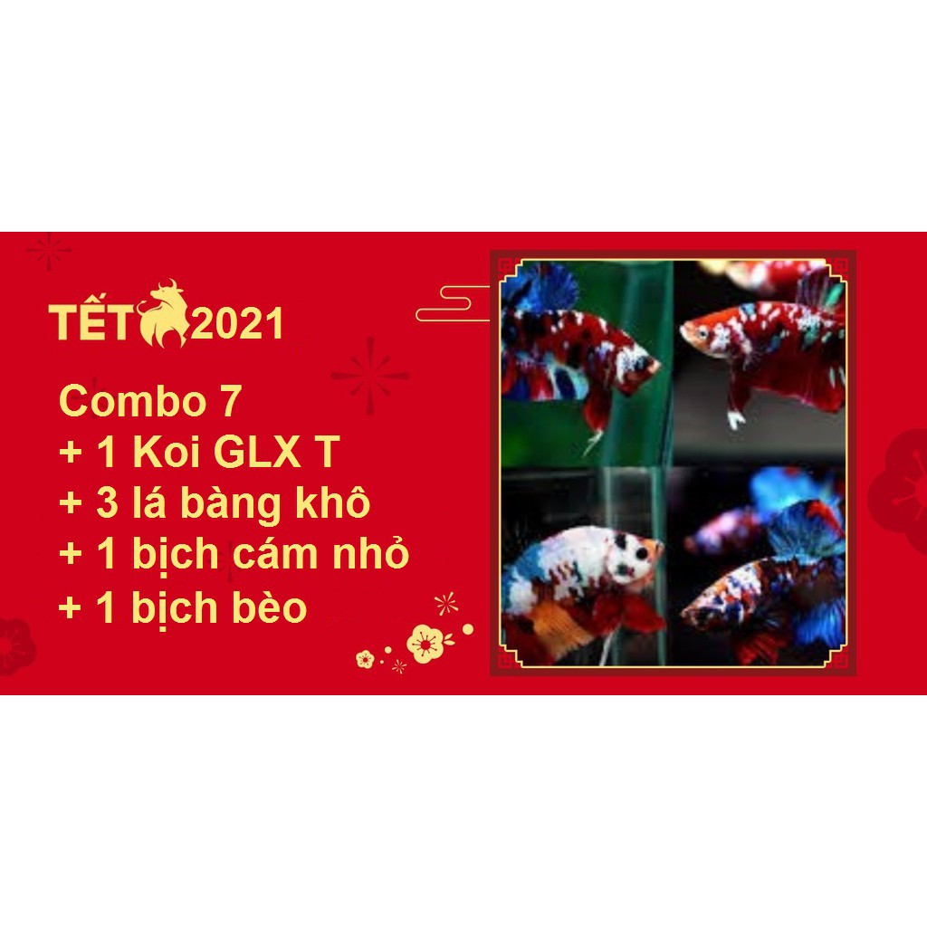 Combo Betta Food 7 GLXT - Thức ăn cho cá