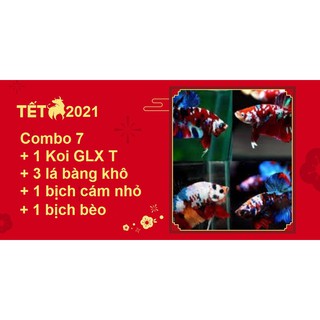 Combo betta food 7 glxt - thức ăn cho cá