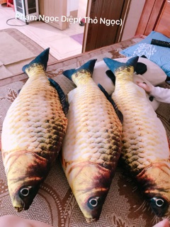 Gối ôm cá 3d