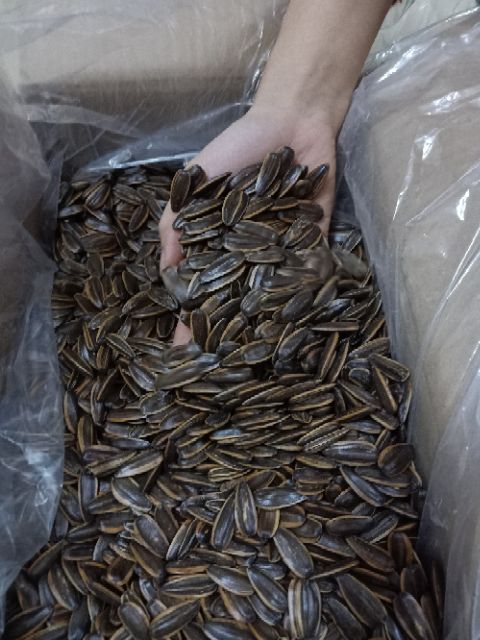 1Kg Hướng dương tẩm vị óc chó | BigBuy360 - bigbuy360.vn