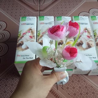 ĐÈN NGỦ LED HÌNH CÂY NẤM ( ĐÈN LOẠI TO )