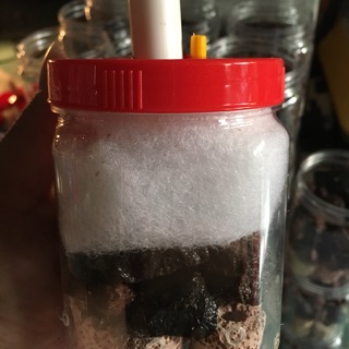 Lọc bio chế (trung)