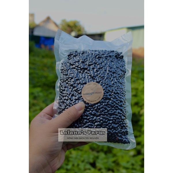500Gr Đậu Đen Xanh Lòng Hữu Cơ Thuần Chủng - Không biến đổi Gen - Lalana's Farm Nông Sản Sạch Tây Nguyên
