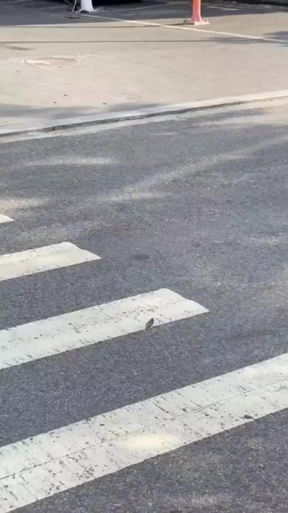 Áo sơ mi nam nữ tay dài họa tiết from rộng vải lụa cao cấp UNICI ASM50 | BigBuy360 - bigbuy360.vn