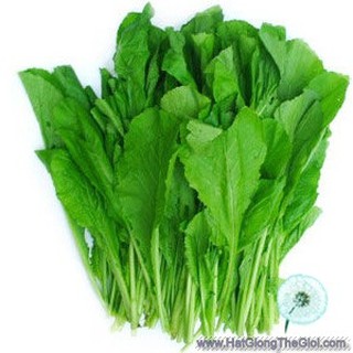 1kg hạt giống cải bẹ xanh
