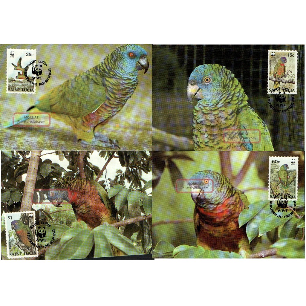 Tem sưu tập Maxicard Chim Vẹt Saint Lucia 1987