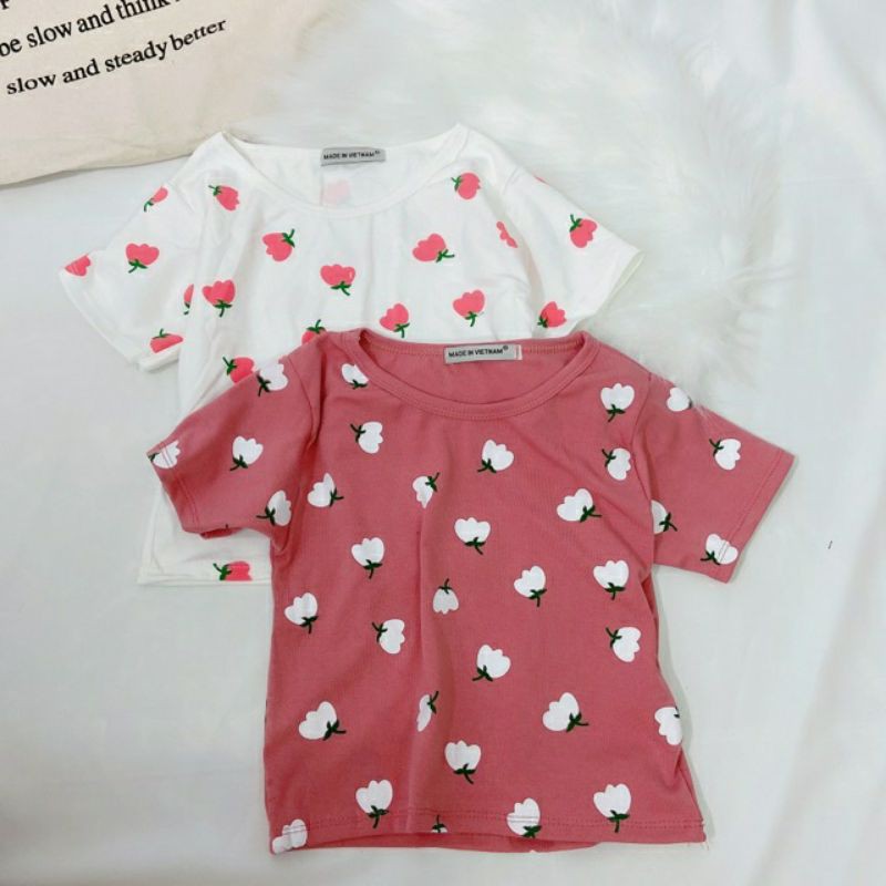 Áo croptop i | BigBuy360 - bigbuy360.vn