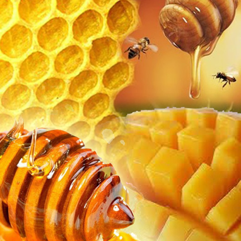 Mật ong hữu cơ Kirkland Wildflower Honey chai 2.27 KG Mỹ - Date T6/2023