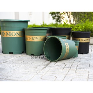 Chậu Monrovia VIỆT NAM 1GL