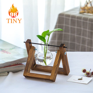 Trang trí bàn làm việc với bình hoa thủy tinh kèm đế gỗ trồng cây thủy sinh, kiểu dáng độc đáo