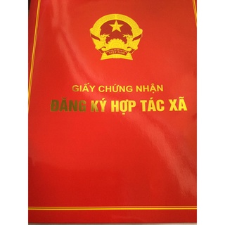 Bún gạo lứt đỏ loại 1 (tốt cho người ăn kiêng giảm cân tiểu đường)