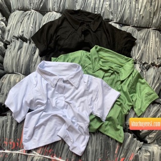 ✅Áo Croptop Petter 💕