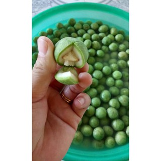 Sấu Ngâm Đường 1KG