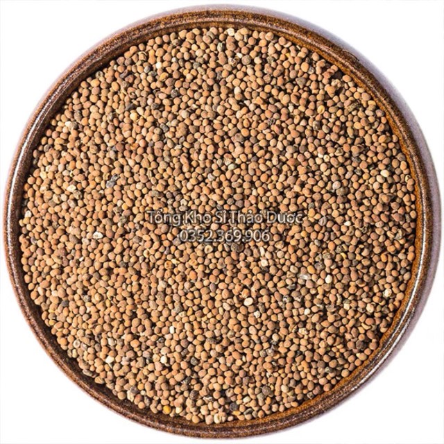 Thỏ Ty Tử 500g (Vàng, Đẹp)