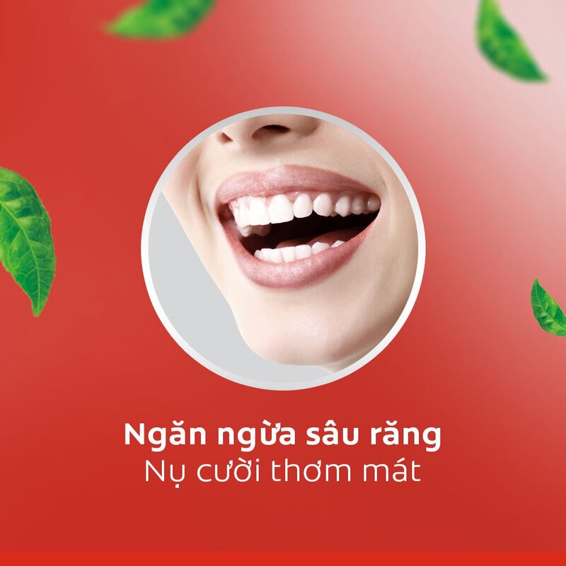 Nước Súc Miệng Colgate Kháng Khuẩn Hương Bạc Hà 500ml Plax Mouthwash - Peppermint Fresh