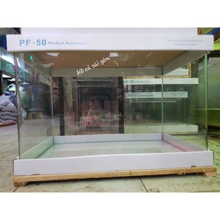 Bể cá kính, hồ cá uốn cong góc 50cm