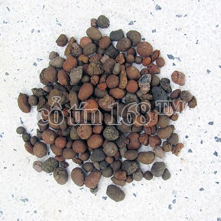 0,5 kg đất nung trồng cây