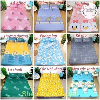 Bộ ga gối poly cotton