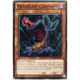 Predaplant Cordyceps |EN| Common