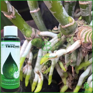  Trichoderma Dạng Lỏng Trị Nấm, Vi Khuẩn, Cải Tạo Đất