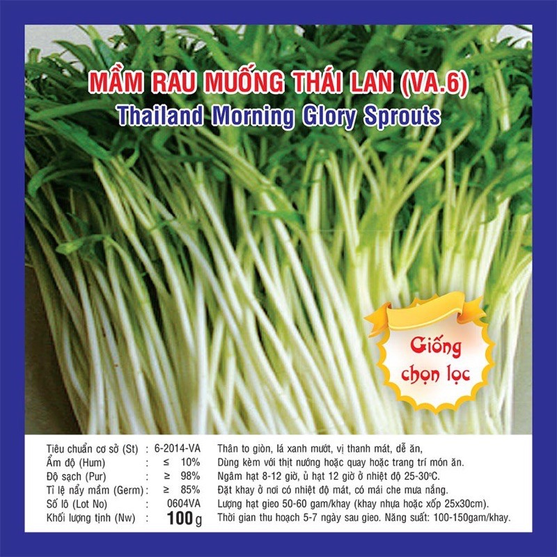 Hạt giống rau mầm rau muống Thái Lan 50g