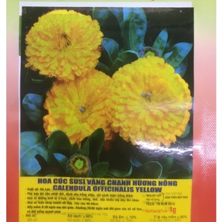 Phân bón lá rong biển hữu cơ ROOT PLEX 100ml620