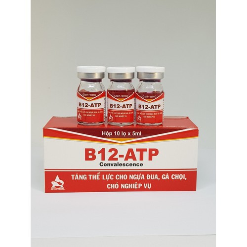 [FREESHIP TỪ 99K] Tăng lực B12 ATP