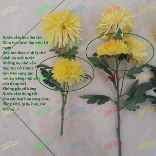 Nước cắm hoa lâu tàn Keep Flowering (1000ml)