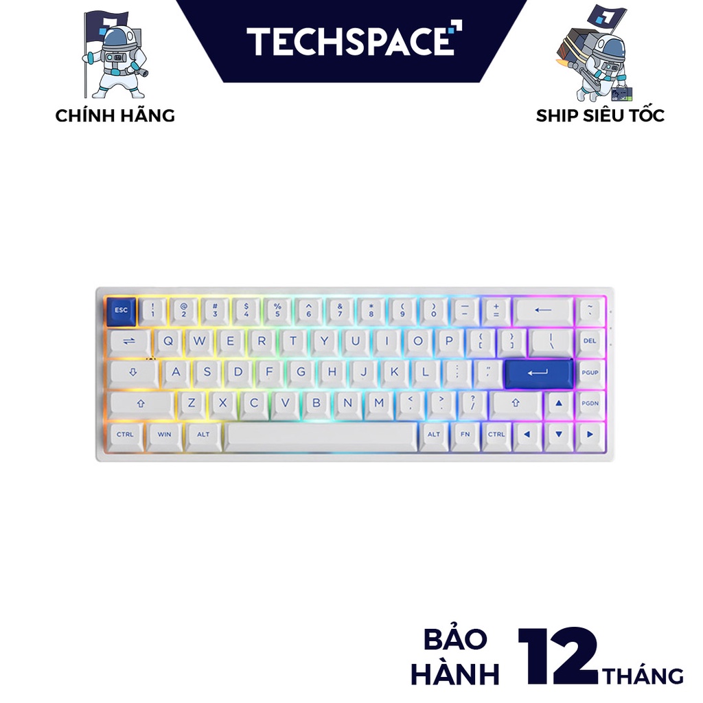 Bàn phím cơ AKKO 3068B Plus Blue on White  -Bảo hành 12 tháng