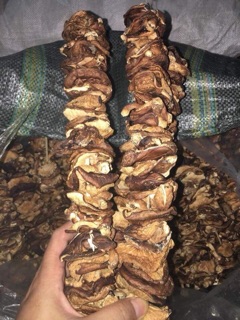 Nấm hương sapa