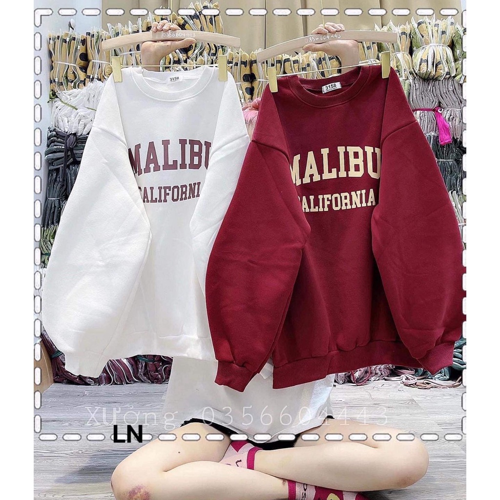 Áo nỉ form thụng tay phồng Sweater MALIBU chất liệu nỉ cotton