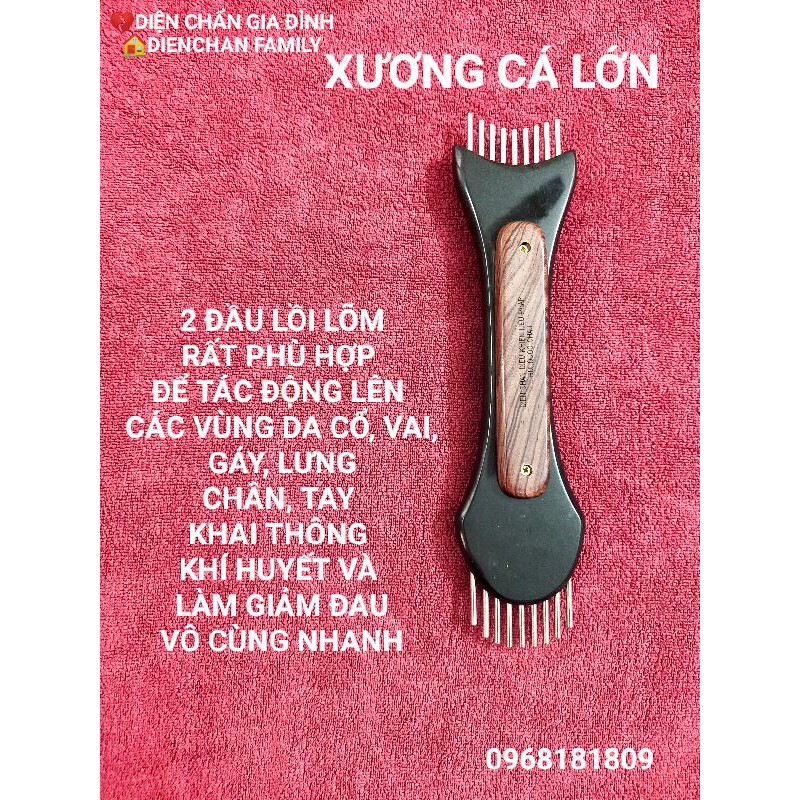 Dụng cụ Diện Chẩn - Xương cá lớn