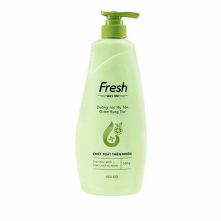 Dầu gội Fresh 550g
