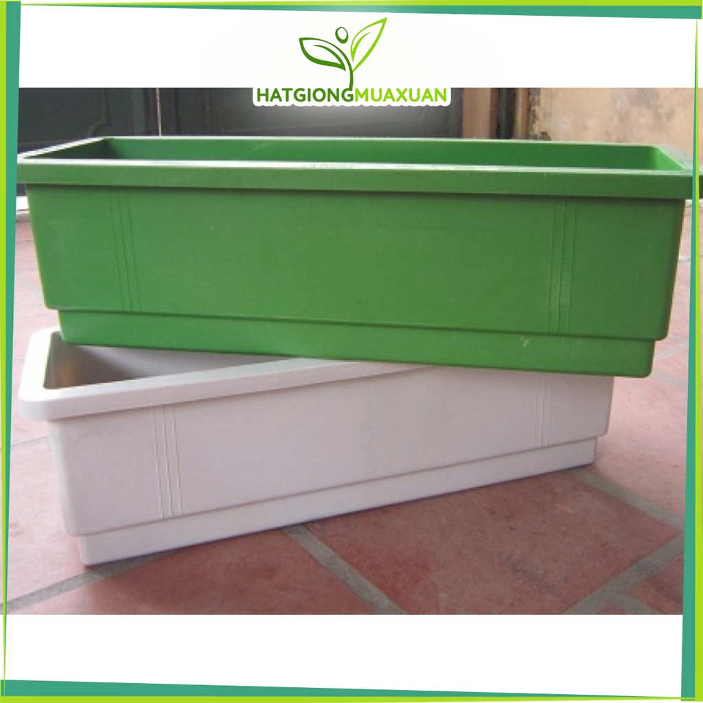 [HOT] Combo 10 chậu nhựa chữ nhật trồng hoa cây cảnh dài 48 cm c/lượng, hg C/ty.