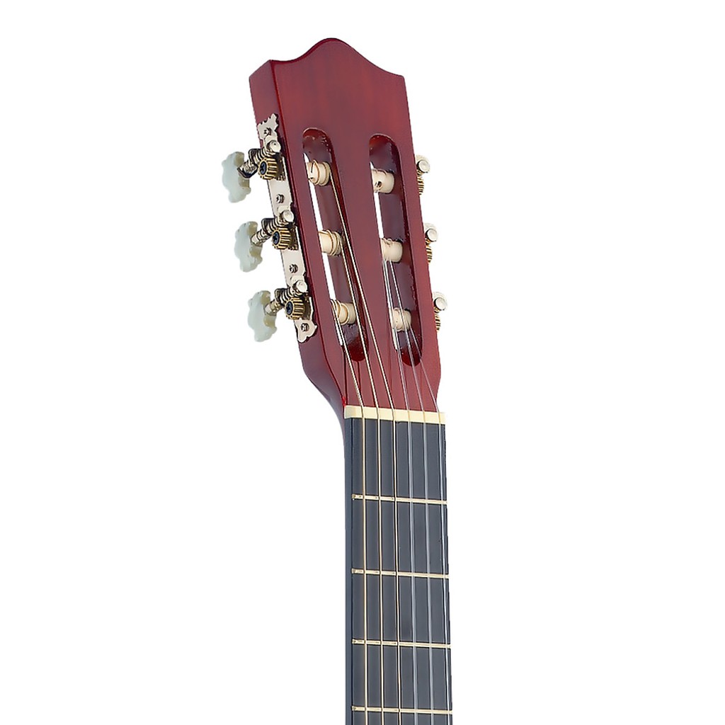 Guitar Classic Stagg C542 Nhập Khẩu Bỉ - Phân phối Sol.G