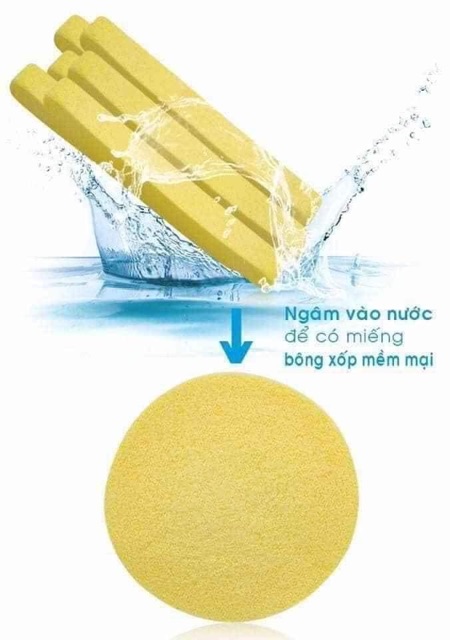 Combo 2 miếng bông mút rửa mặt tẩy trang  bọt biển siêu sạch