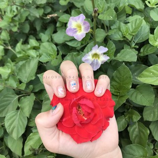 Nhãn dán móng tay kiểu dáng 3D [ ẢNH THẬT]