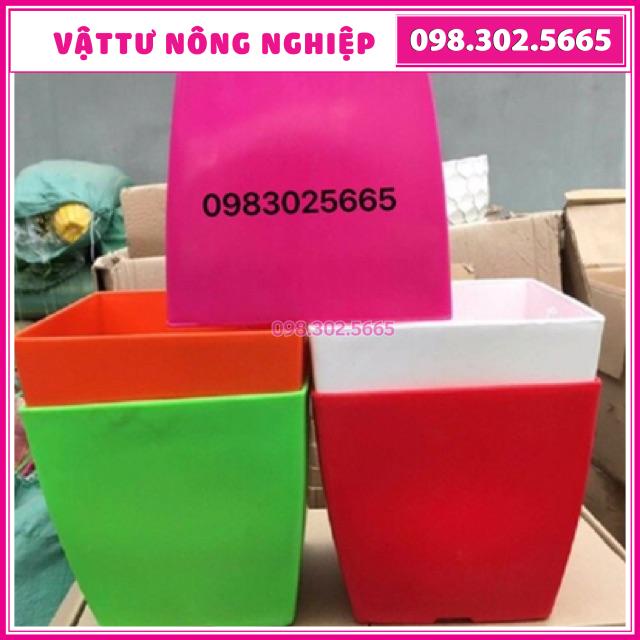 Chậu nhựa vuông đủ màu kích thước 20x20cm