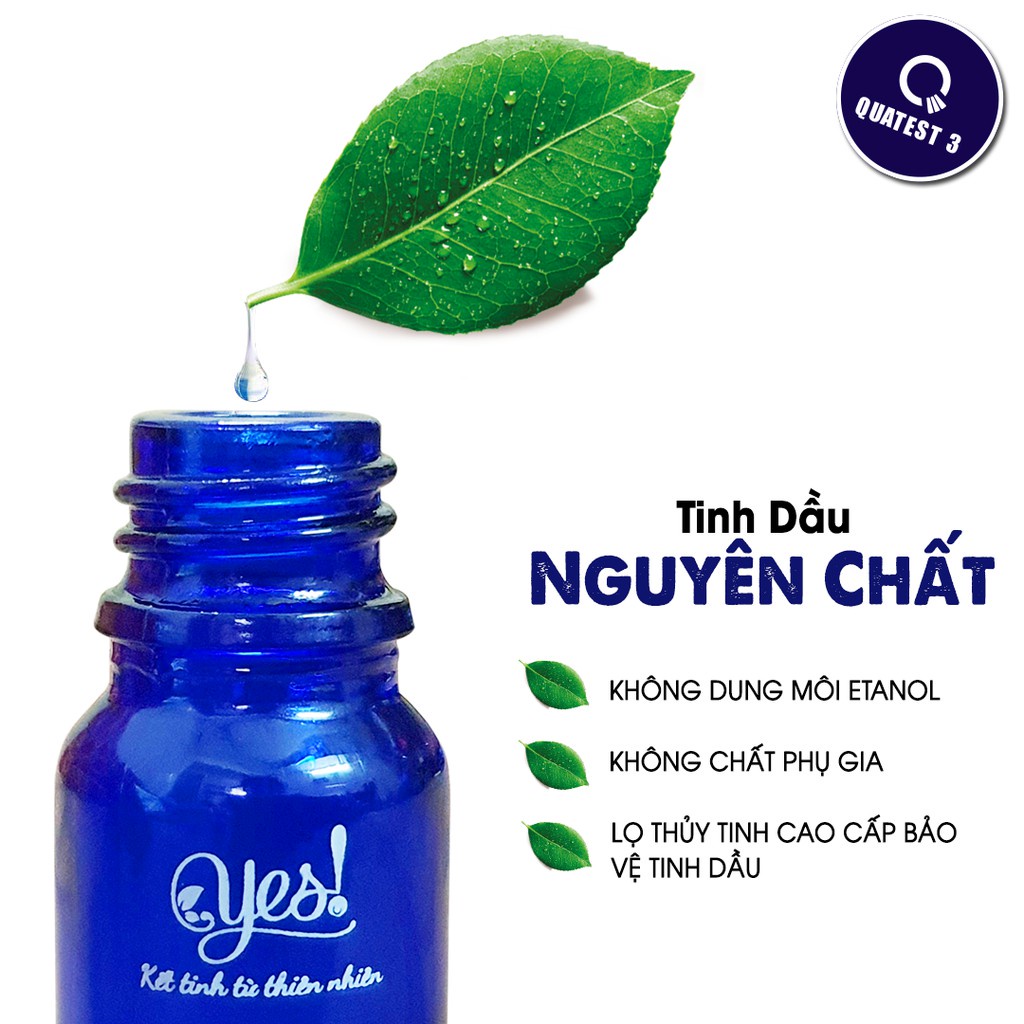 [Mau giao hàng] Đèn Xông Tinh Dầu YES - Dáng Miệng Sóng Cắm Điện Chân Rời Chất Liệu Sứ