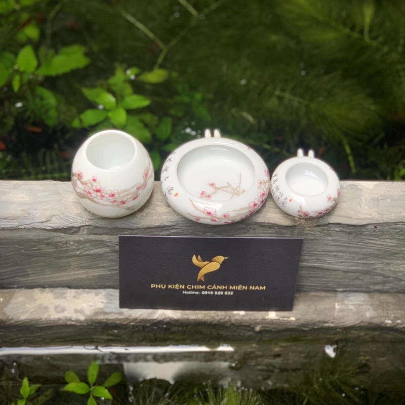 Cóng chim vẽ tay HOA - Cửu Chính Đường