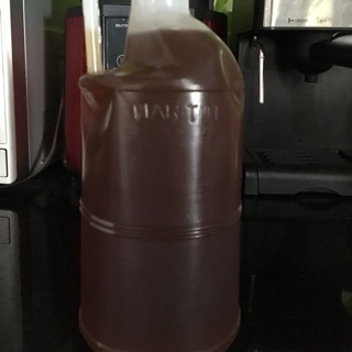 1L mật ong hoa cà phê Dak Lak