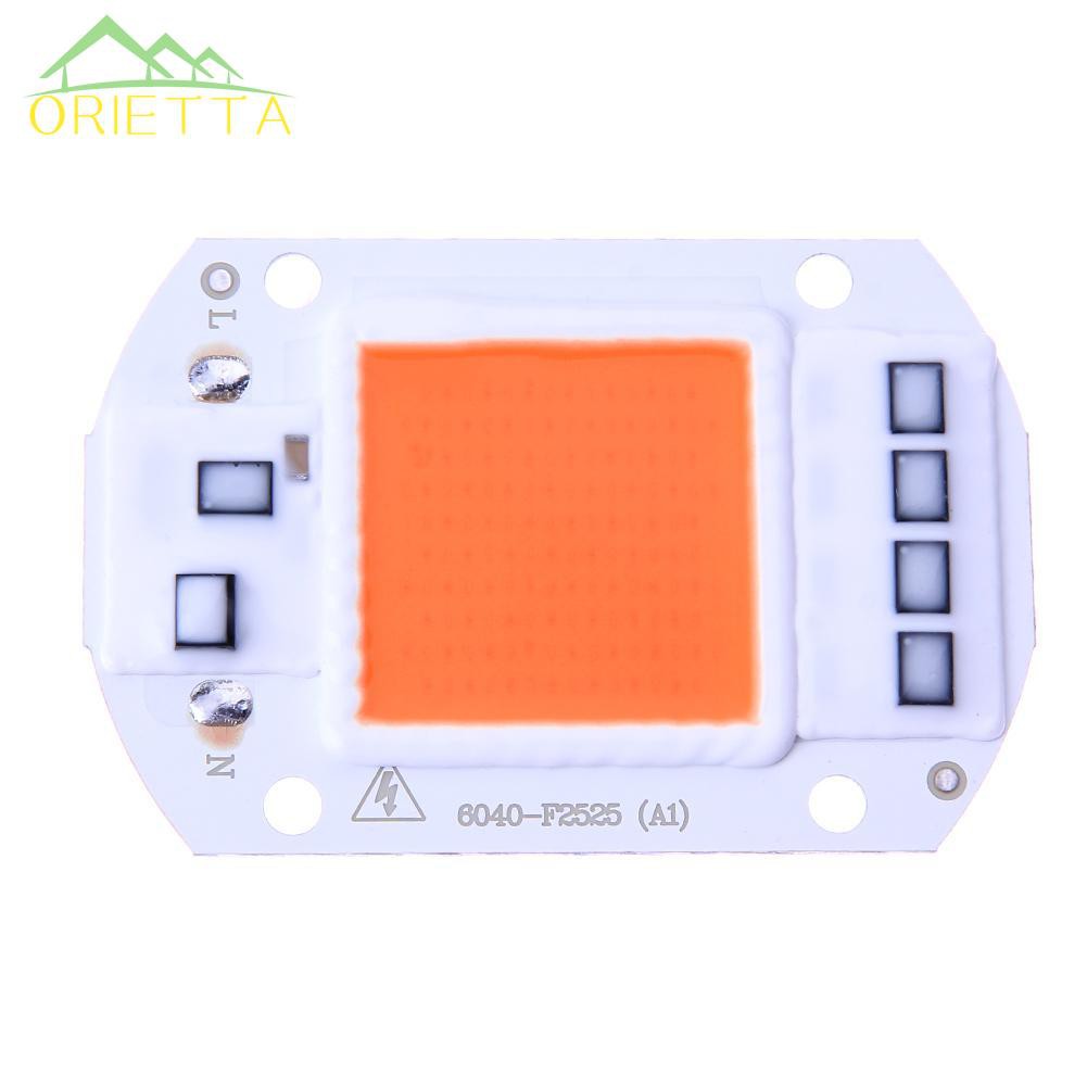 Chip LED 50W 220v đầu vào tích hợp trình điều khiển IC thông minh