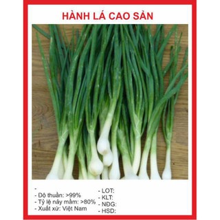 Hạt giống Hành lá 50 hạt ĐẠI GIẢM GIÁ TẾT