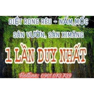 BỘT DIỆT RONG RÊU, NẤM MỐC